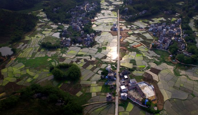梧州市藤县藤州镇积和村