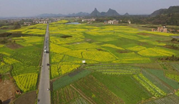 桂林市全州县安和镇大塘村