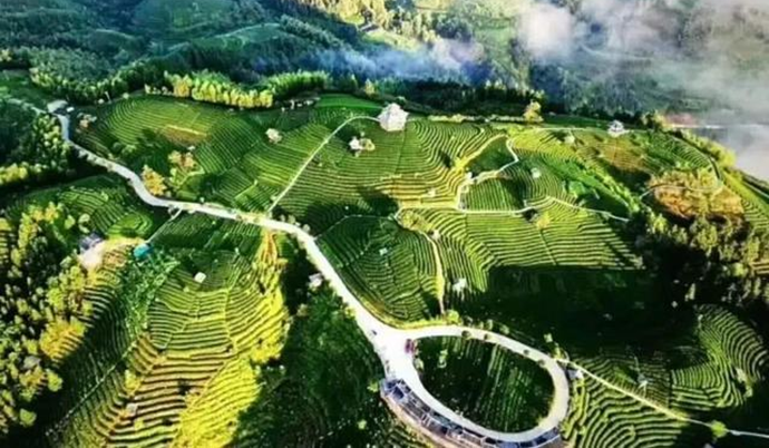 河池市巴马瑶族自治县那桃乡平林村