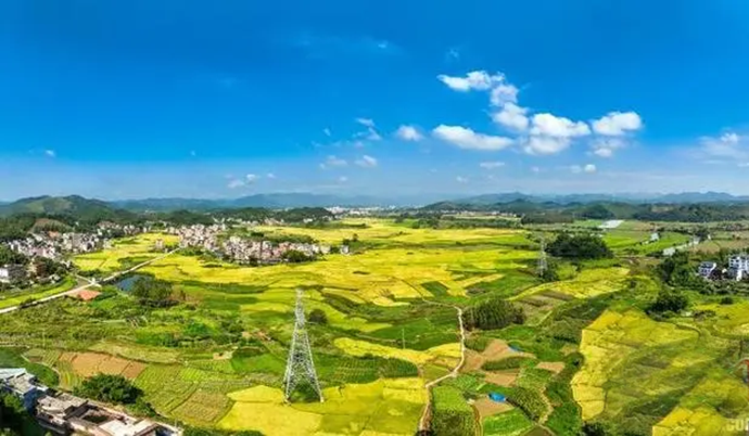 梧州市万秀区夏郢镇镇安村