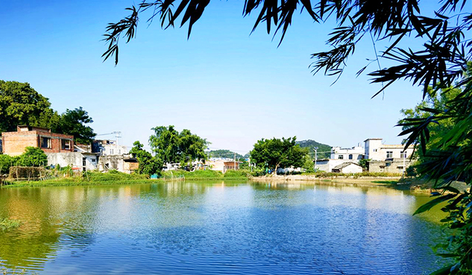 南宁市宾阳县古辣镇马界村